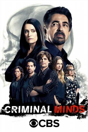 Мыслить как преступник (сериал, 1-2 сезоны, все серии)
